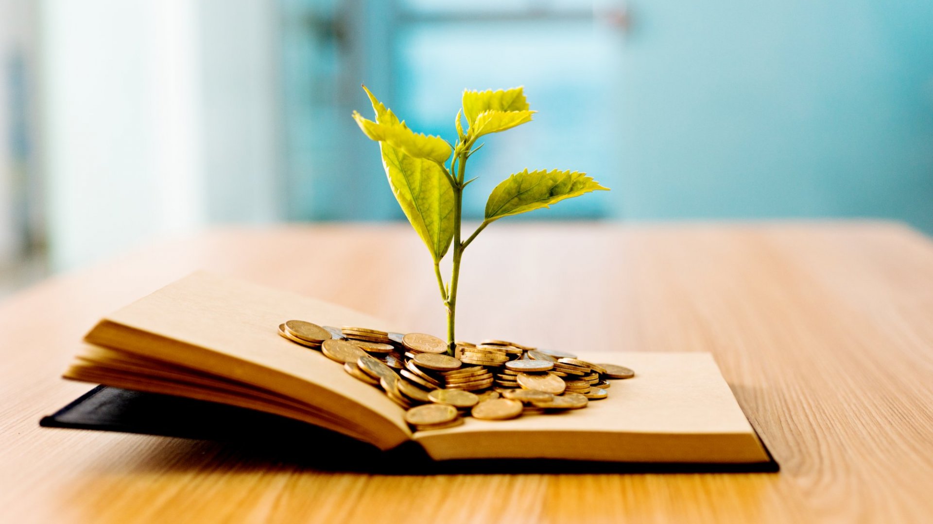 finance personal